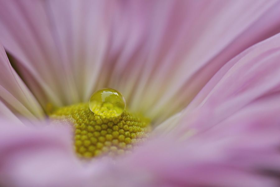 Онлайн-Журнал "Домашний" Ольги Транквиллевской