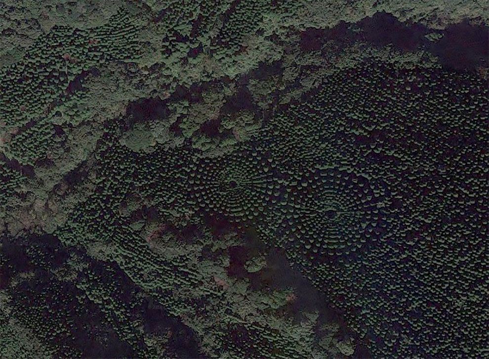 Онлайн-Журнал "Домашний" Ольги Транквиллевской