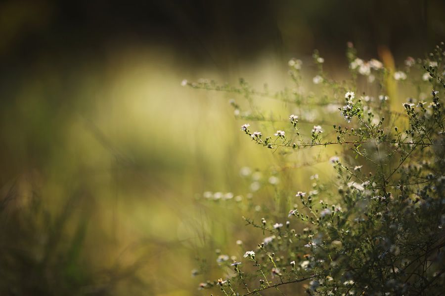 Онлайн-Журнал "Домашний" Ольги Транквиллевской