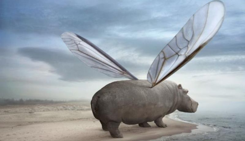 Школа Раскрытия Творческого потенциала АРТ-ПОТОК. Сюрреализм и фото-арт