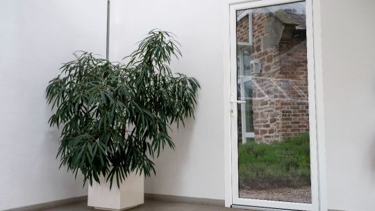 москитки на двери