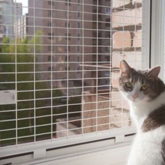 Антикошка решетка на окно металлическая