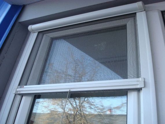 Антикошка сетки рулонные