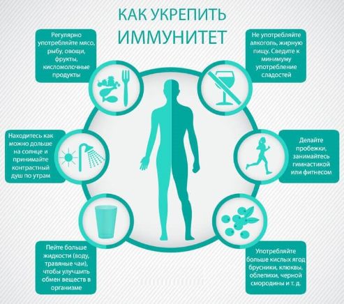 Укрепить иммунитет