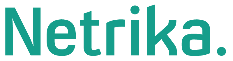 ИТ-интегратор "Нетрика"