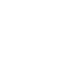 the mediator