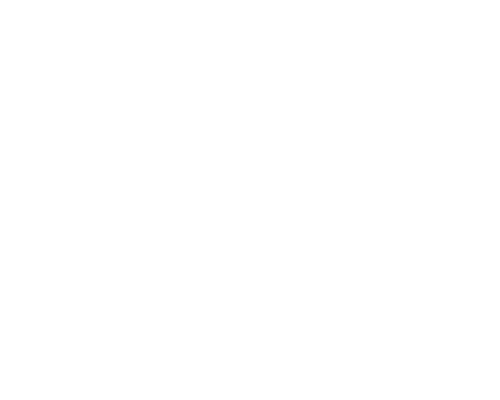 the mediator