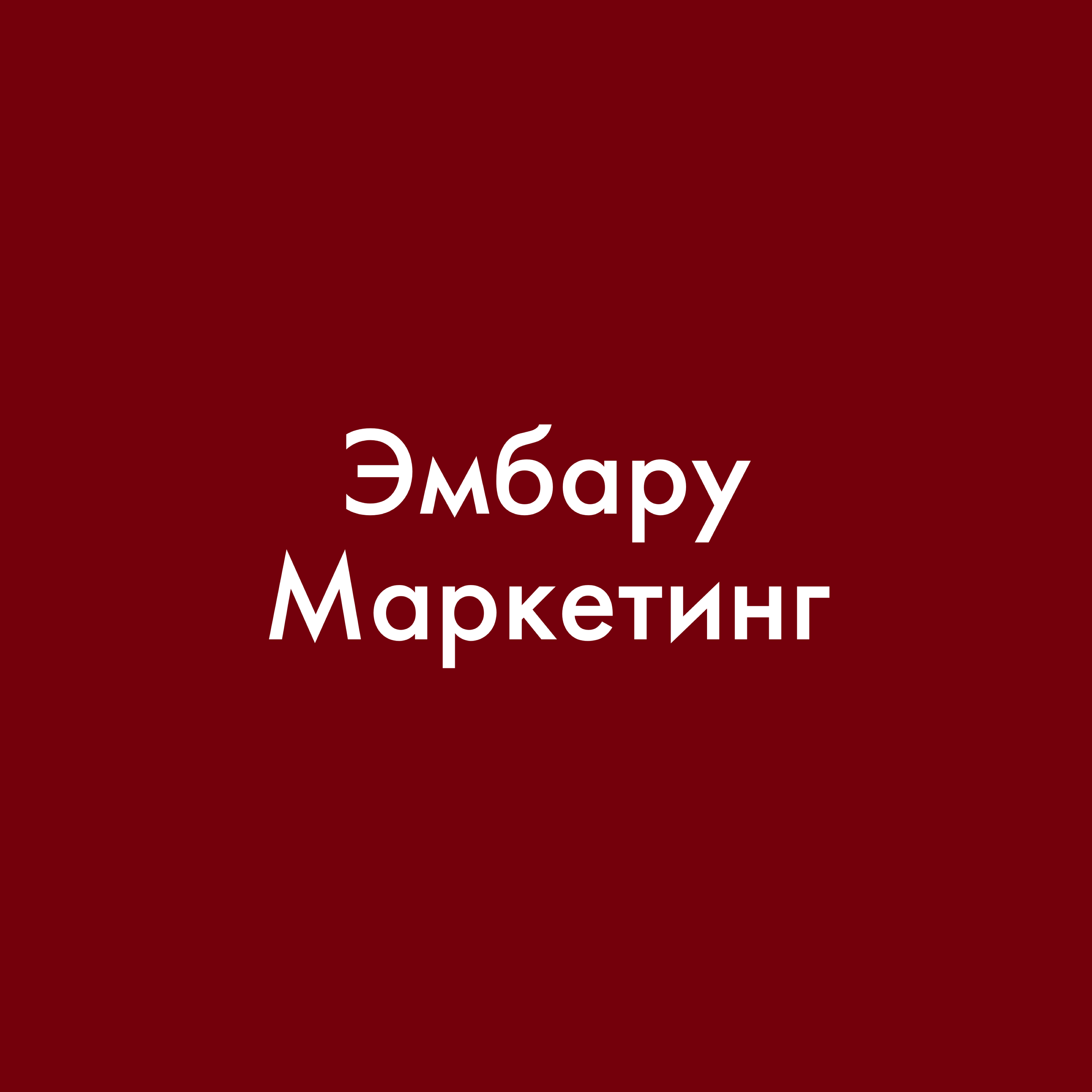 Маркетинговое агентство ЭМБАРУ МАРКЕТИНГ®