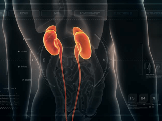 Лечим почки с nsp