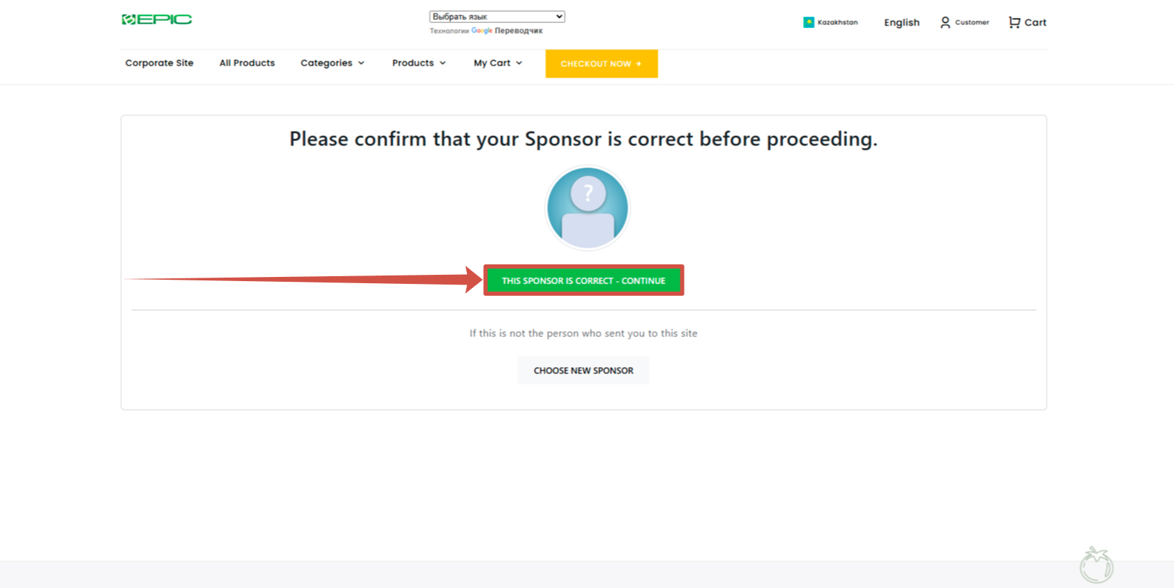 bepic заказать