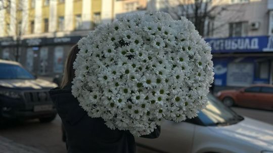 Доставка цветов Донецк