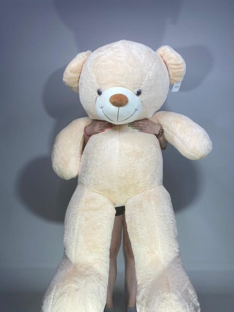 доставка мишек донецк