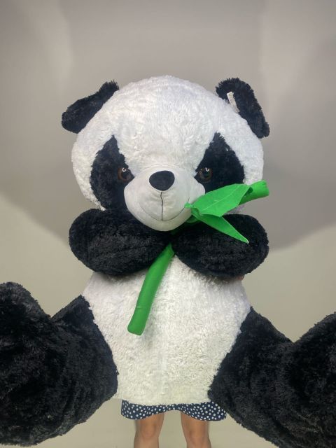 доставка мишек донецк