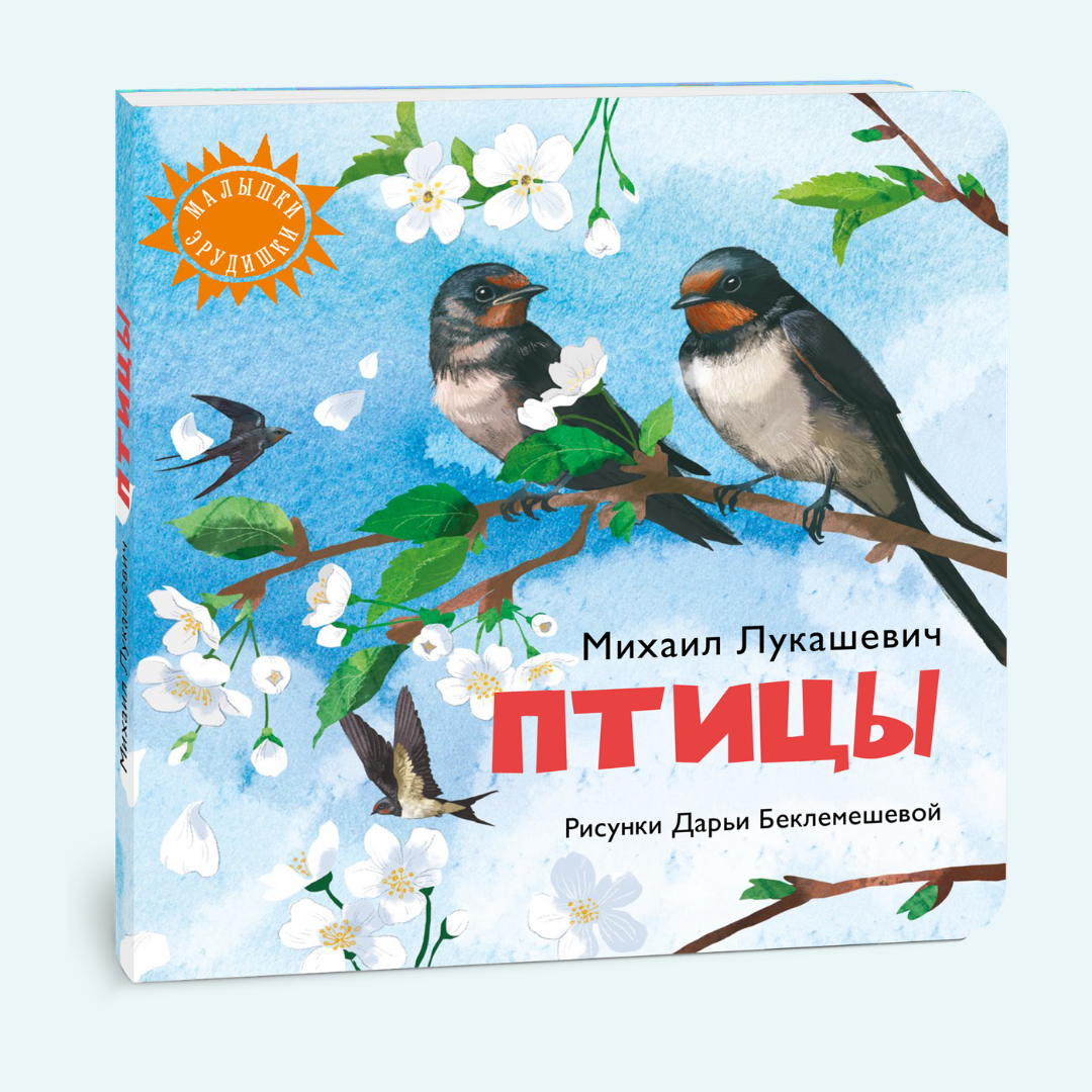 Птицы